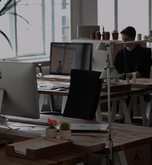 wordpress-development